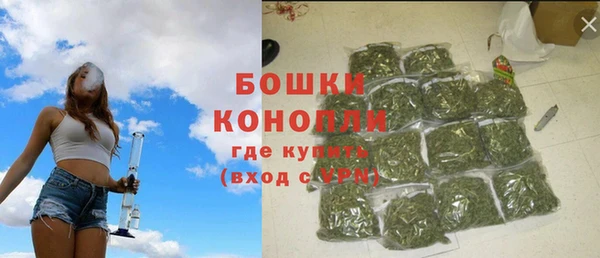 ГАЛЛЮЦИНОГЕННЫЕ ГРИБЫ Инта