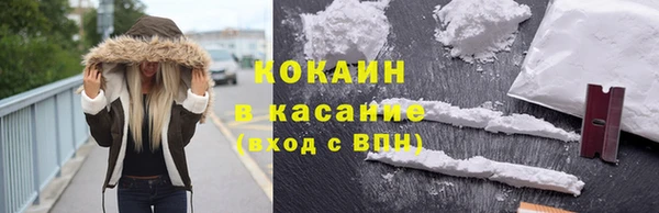 кокс Инсар