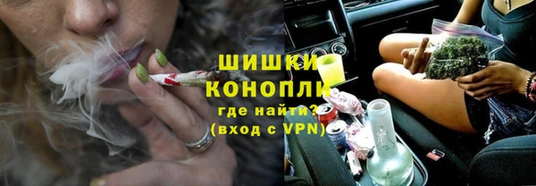 ГАЛЛЮЦИНОГЕННЫЕ ГРИБЫ Инта
