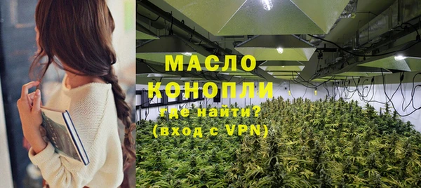 ГАЛЛЮЦИНОГЕННЫЕ ГРИБЫ Инта