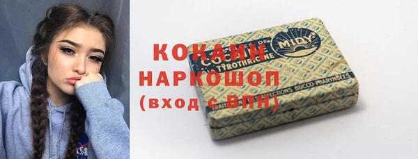 ГАЛЛЮЦИНОГЕННЫЕ ГРИБЫ Инта