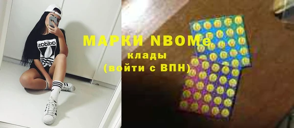 ГАЛЛЮЦИНОГЕННЫЕ ГРИБЫ Инта