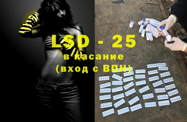 ГАЛЛЮЦИНОГЕННЫЕ ГРИБЫ Инта