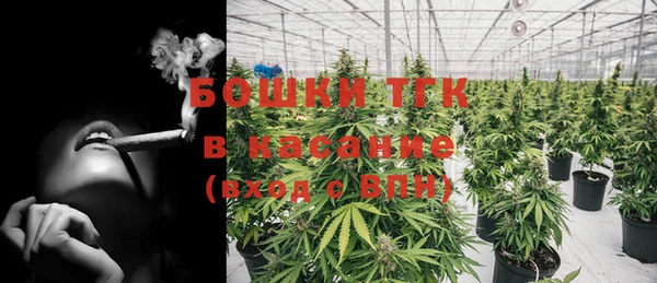 кокс Инсар