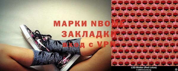 кокс Инсар