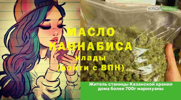 ГАЛЛЮЦИНОГЕННЫЕ ГРИБЫ Инта