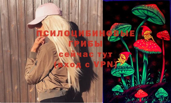 ГАЛЛЮЦИНОГЕННЫЕ ГРИБЫ Инта