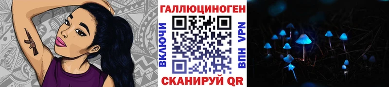 Купить  Эртиль  Псилоцибиновые грибы Magic Shrooms 