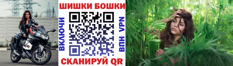 Купить  Эртиль  Шишки марихуана MAZAR 
